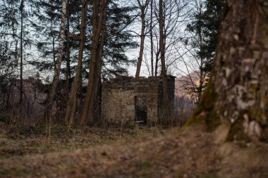 İlkbaharın başında ormanın ortasında harap olmuş eski bir tuğla bina.