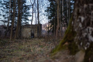 İlkbaharın başında ormanın ortasında harap olmuş eski bir tuğla bina.