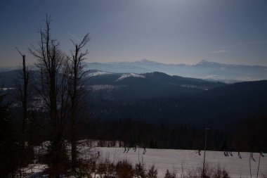 Karpat Dağları 'ndaki kış manzarası
