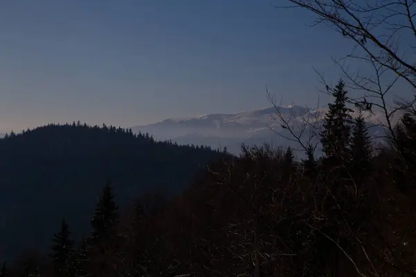 Zimowy Krajobraz Karpatach — Zdjęcie stockowe
