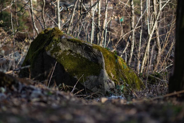 Pedra Montanha Grande Coberta Com Musgo Seco Início Primavera — Fotografia de Stock