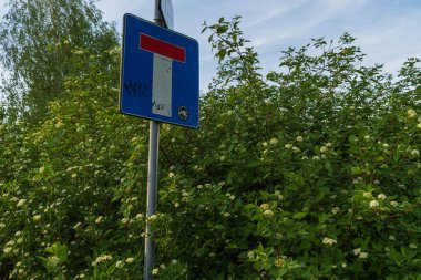 Mavi gökyüzünün arka planında çiçek açan çalılar arasında yol işareti çıkmaz sokak.