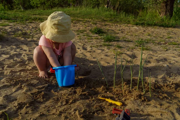 little girl dips her hands in a blue plastic bucket of water on the beach with sand, washes her hands in a bucket happy childhood with new discoveries photo in sunny summer weather