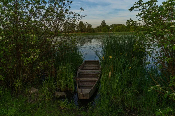 Altes Holzboot Zwischen Dem Schilf Ufer Hinter Dem See Wasser — Stockfoto