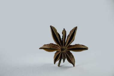 dried anise flower close-up macro isolated on white background anise aromatic spice and medicine star anise spice asia