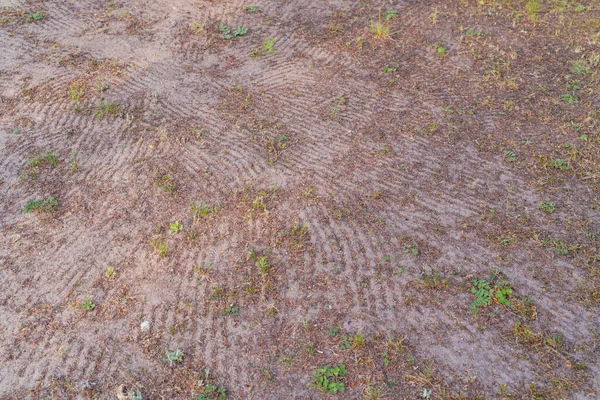 Fundo Solo Arenoso Vista Superior Terra Limpa Folhas Detritos Vestígios — Fotografia de Stock