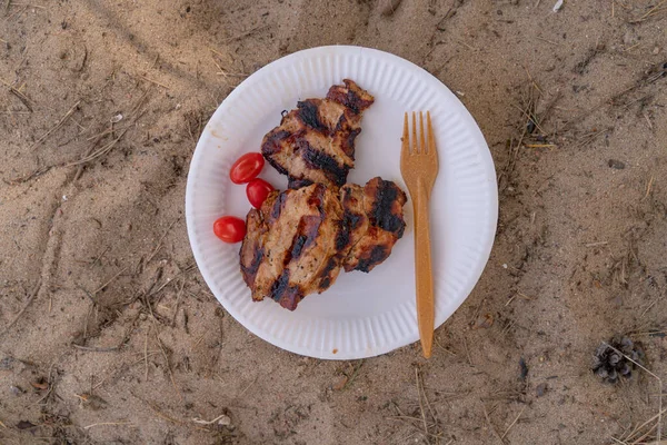 grilled hot chicken nicely served on a white paper disposable plate with red cherry tomatoes on the side bamboo fork plate on the sand warm weather picnic time