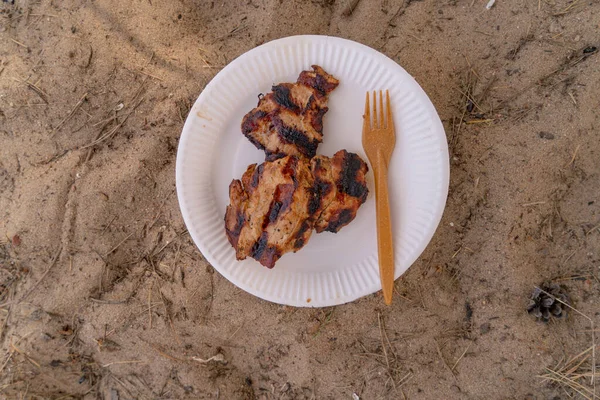 grilled hot chicken nicely served on a white paper disposable plate with  the side bamboo fork plate on the sand warm weather picnic time