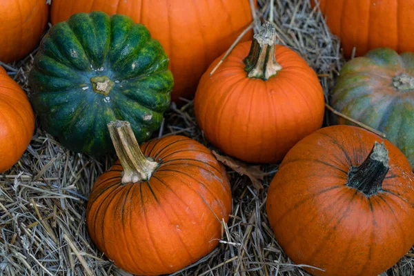 Orange Pumpor Olika Storlekar Höet Som Dekoration Före Halloween Fotot — Stockfoto