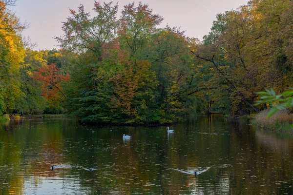 Beautiful Autumn Landscape View Lake Yellow Green Trees Autumn Background — Stock Photo, Image