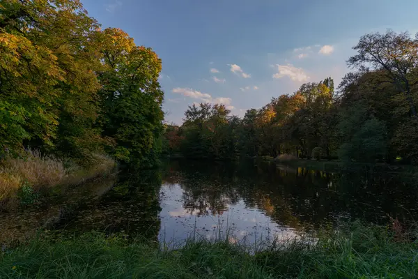 Красивый Осенний Пейзаж Видом Озеро Желтые Зеленые Деревья Осенью Фоне — стоковое фото