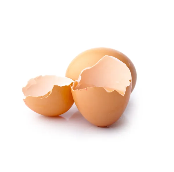 Broken egg shell — Stock Photo, Image