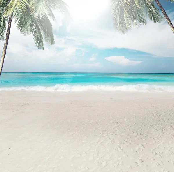 Vackra stranden på sommaren — Stockfoto