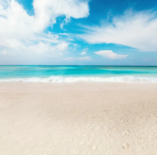 Schöner Strand im Sommer — Stockfoto