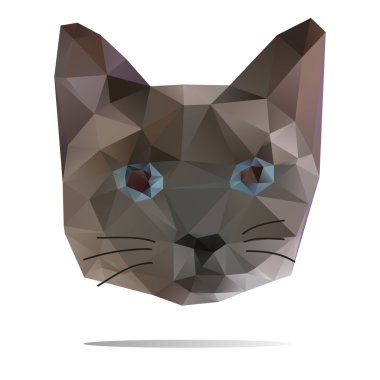 brown cat blue eyes vector clipart