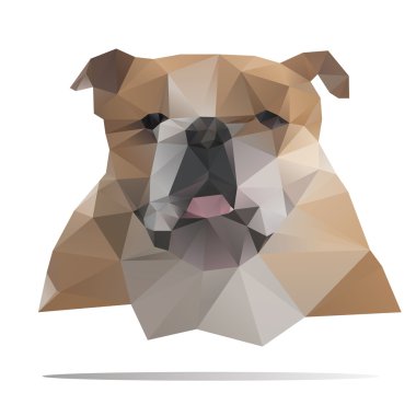 Bulldog baş vektör