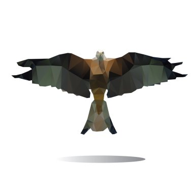 Kartal çokgenin vektör