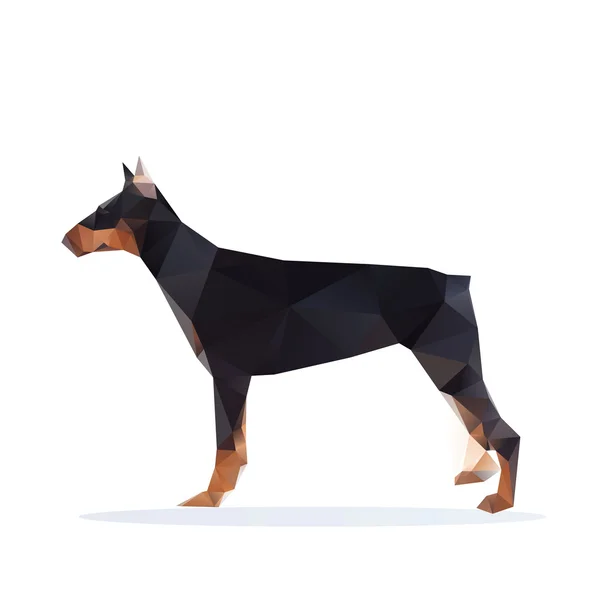 Doberman doberman — Vettoriale Stock