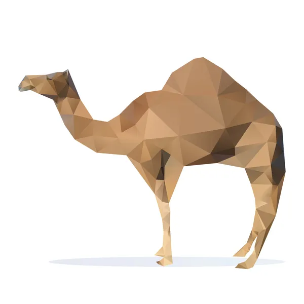 Ilustración de camello. Vector — Vector de stock