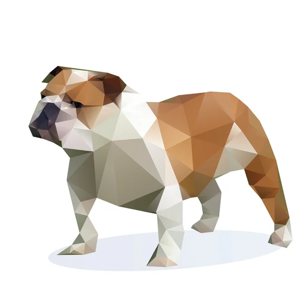 Bulldog vettoriale isolato su sfondo bianco — Vettoriale Stock