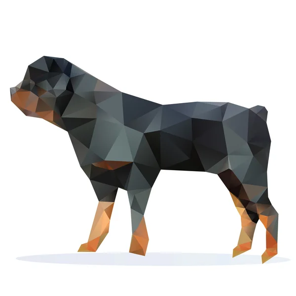 Rottweiler, vecteur — Image vectorielle