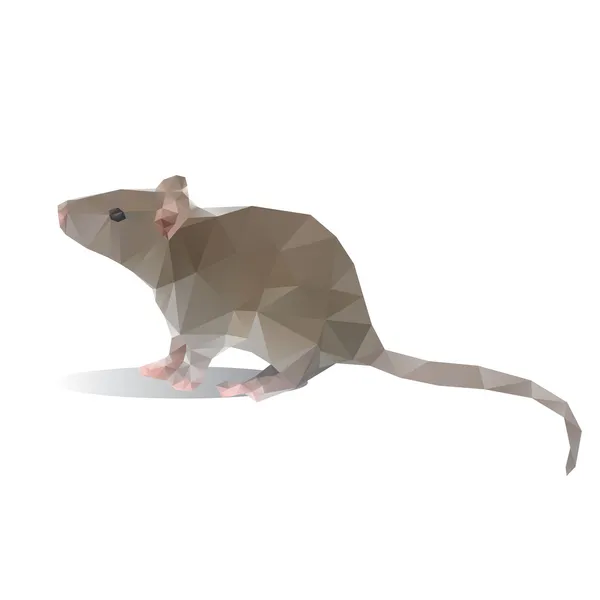 Rat polygon vector — Stock Vector