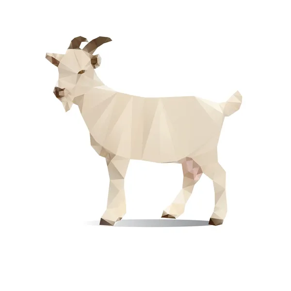 Goat polygon vector — Stock Vector