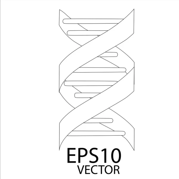 DNA sketch eps10 — Stock Vector