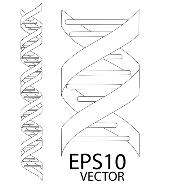 DNA sketch eps10 — Stock Vector