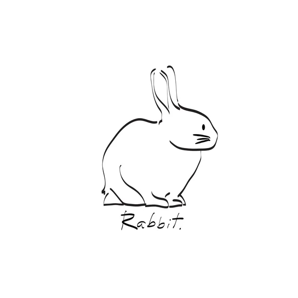 Tavşan kroki — Stok Vektör