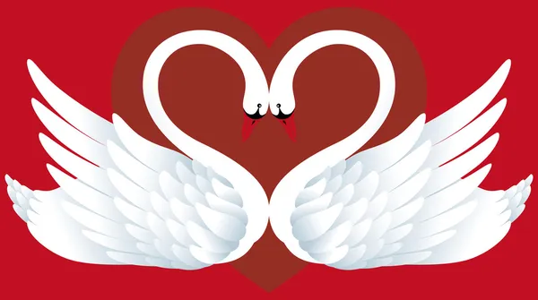 Two Swans in Love — Stock Vector