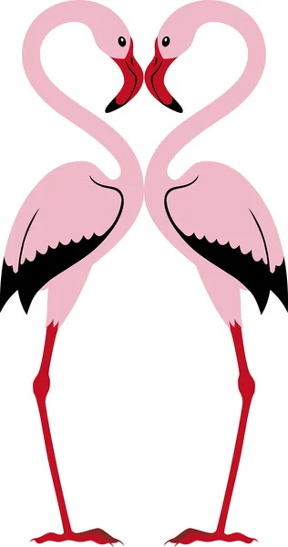 Twee Flamingo 's Rechtenvrije Stockillustraties