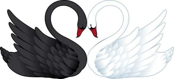 Dos cisnes enamorados — Vector de stock