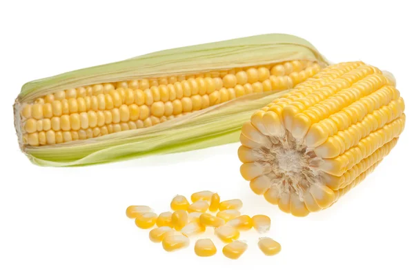 Corn and grains — Stock Photo, Image