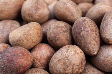 Hindistan cevizi arka plan