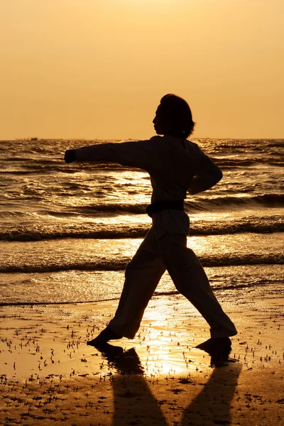 Artes marciales — Foto de Stock