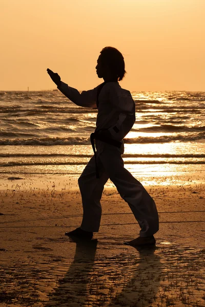 Artes marciais — Fotografia de Stock