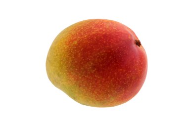 Mango izole edildi