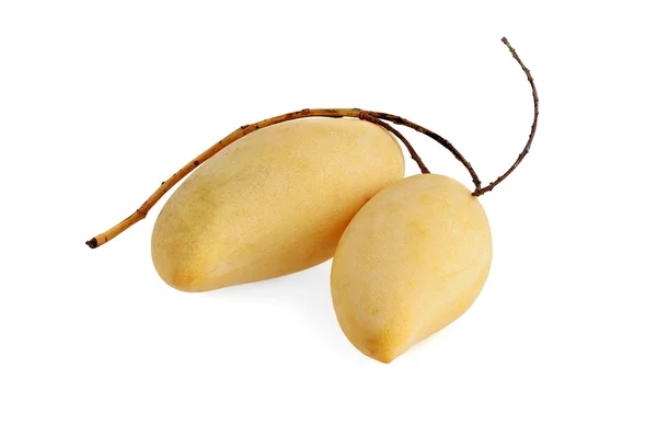 Żółte mango — Zdjęcie stockowe