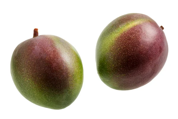 Mangoes — Stock Photo, Image