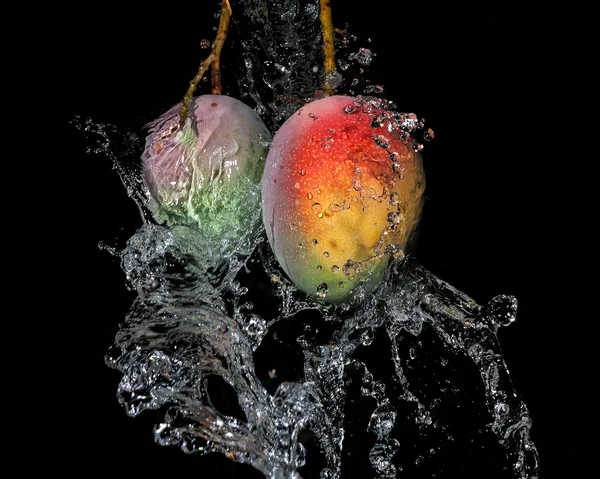 su sıçrama içinde Mango