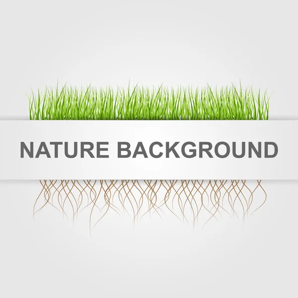 Αφηρημένης φύσης φόντο. πράσινο γρασίδι. — Διανυσματικό Αρχείο