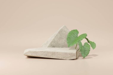 Taş ve küçük bitkinin bir ürün podyumu oluşturması, kozmetik sunumu. 3d oluşturma.