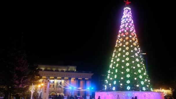 RÚSSIA, NOVOSIBIRSK - DEC 23, 2020: iluminação Abeto de Natal, luzes — Vídeo de Stock