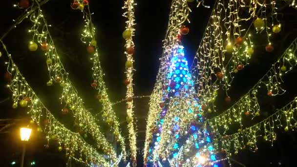 Verlichting Kerst decoraties, bloemenslingers en lichten in de nacht stadsplein — Stockvideo