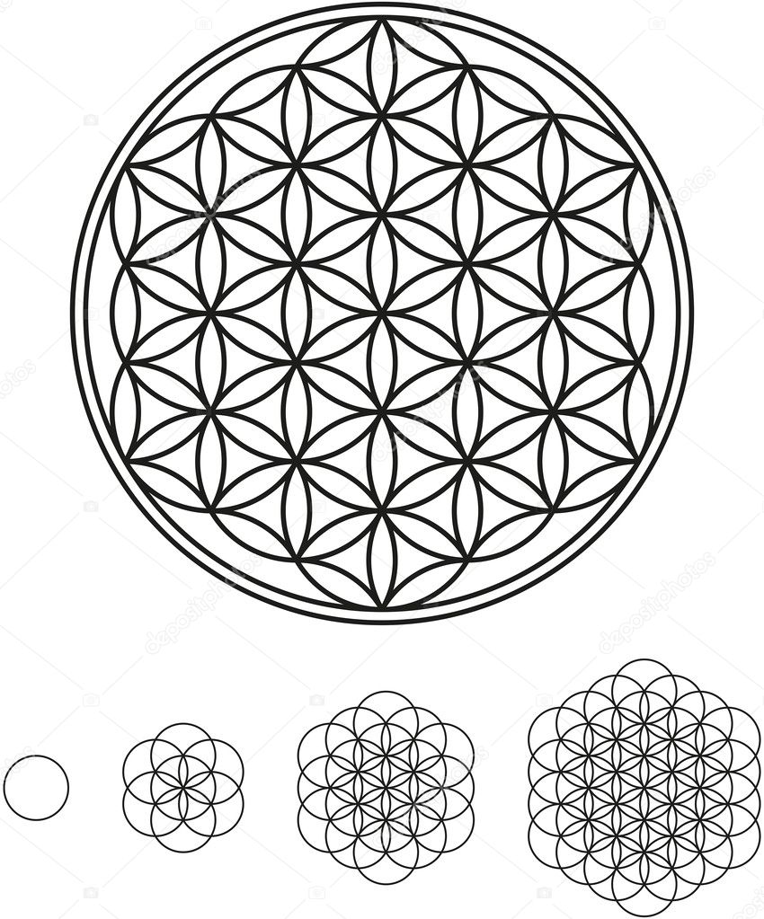 Flower Of Life Development