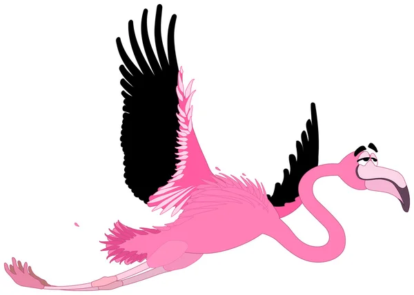 Komické flamingo — Stockový vektor