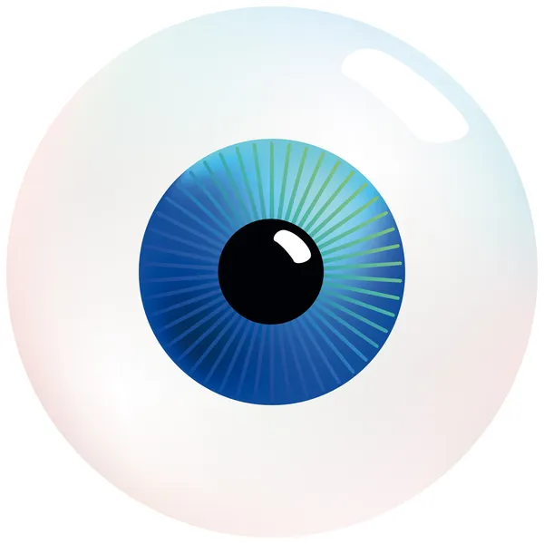 Ojo. — Vector de stock