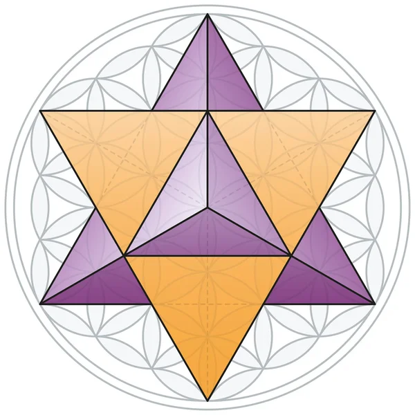 Merkaba y flor de la vida — Vector de stock