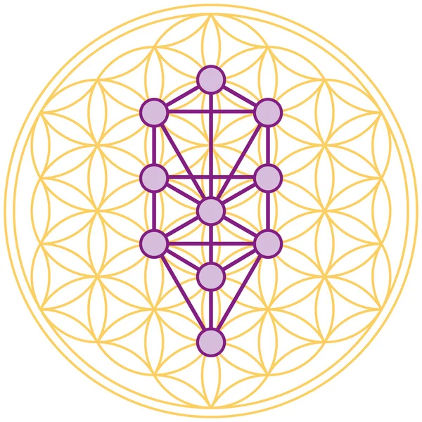 hayat ağacı mükemmel hayat çiçek içinde uyuyor.